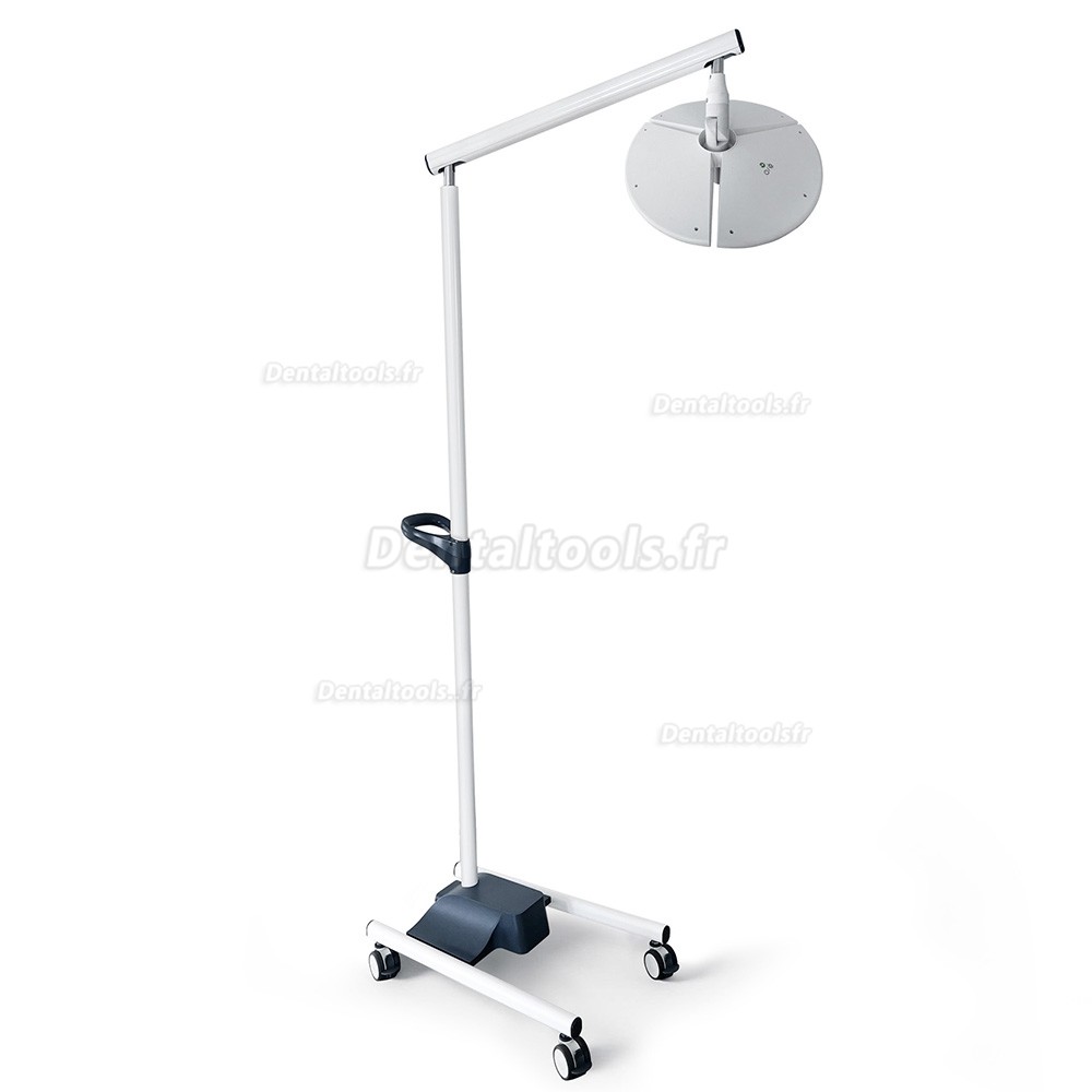 KWS KD-2036L-4 lampe scialytique dentaire LED mobile 80W sur pied avec 4 roulettes